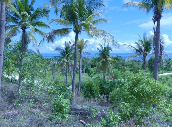 PG35+55, Alcoy, Central Visayas