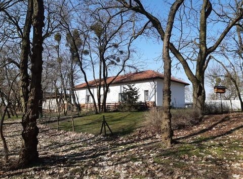 Śrem, Wielkopolskie
