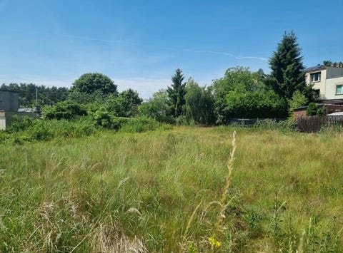 Czerwonak, Wielkopolskie