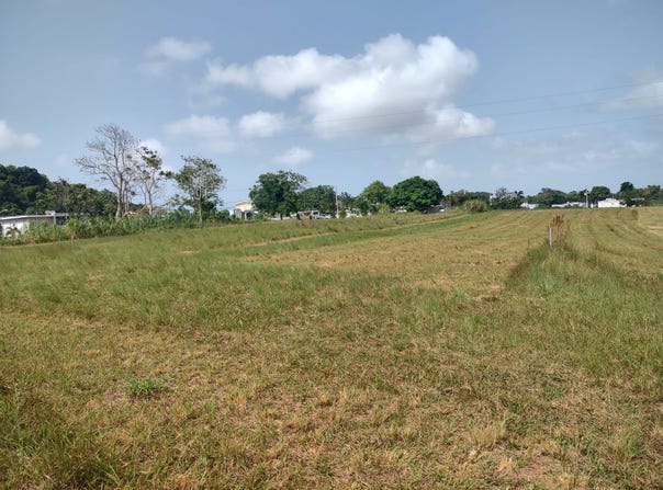 bo San Antonio Quebradillas PR, Quebradillas, Quebradillas, Quebradillas, Quebradillas