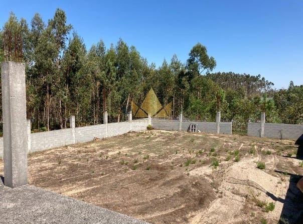 Carriço, Leiria 3105