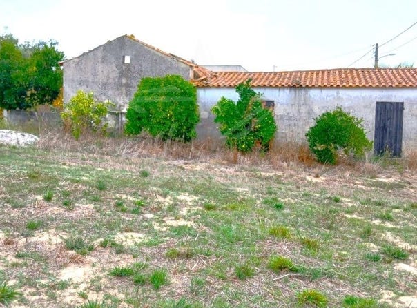 Cela, Leiria 2460