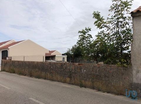 Leiria, Leiria 2425-019