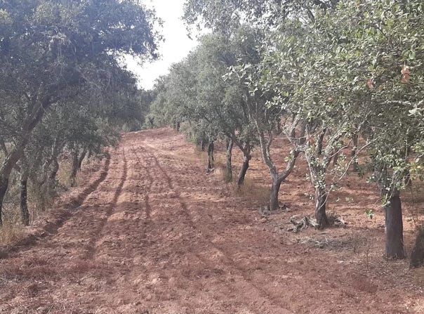 Ourique, Beja District