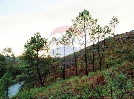 Fafe, Braga