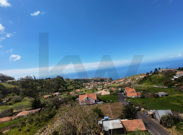 Canhas, Madeira 9360