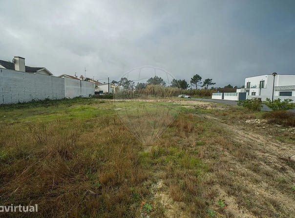 Torreira, Aveiro District