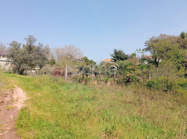 Águeda, Aveiro District