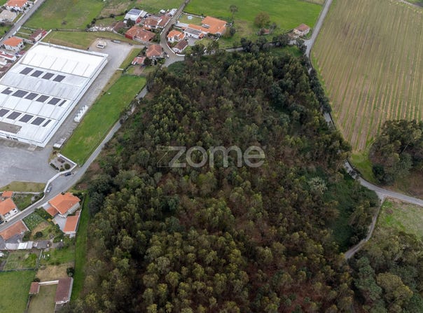 Santo Tirso, Porto District