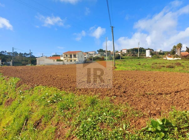 Caldas da Rainha, Leiria District