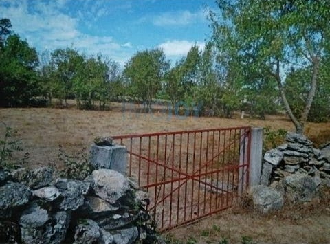 Almeida, Guarda 6355-010