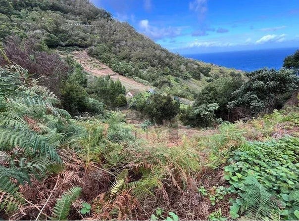 Faial, Madeira 9230