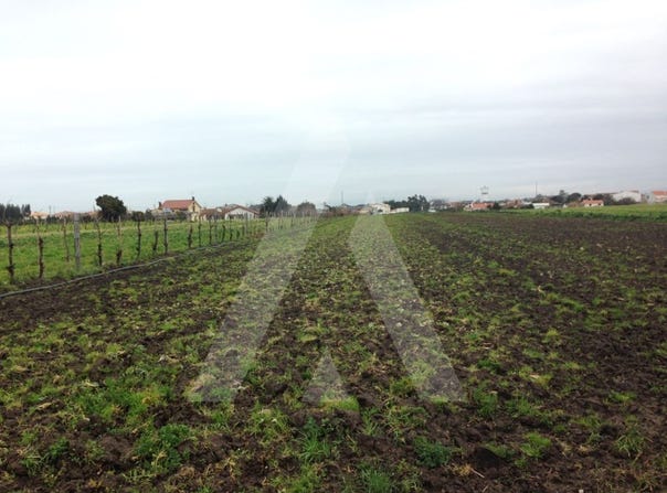 São Bernardo, Aveiro District