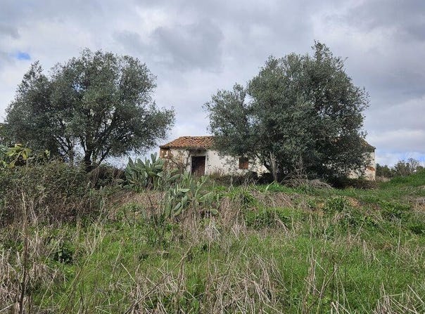 Luzianes-Gare, Beja 7665