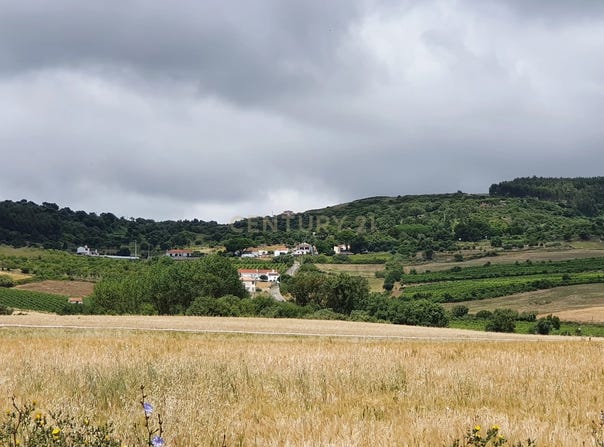 Arruda dos Vinhos, Lisbon