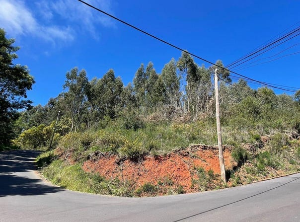Ilha da Madeira, Madeira