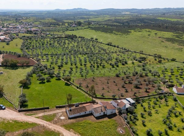 Évora, Évora District 7200-014
