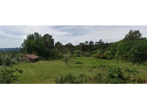 Baixinho e Nogueira, Cavernães, Viseu District 3505-115