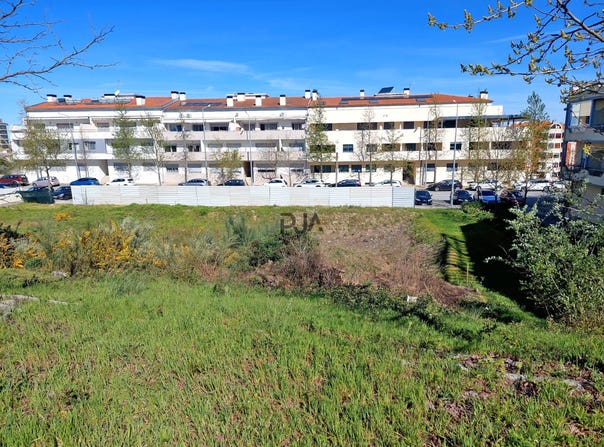 Mangualde, Viseu District