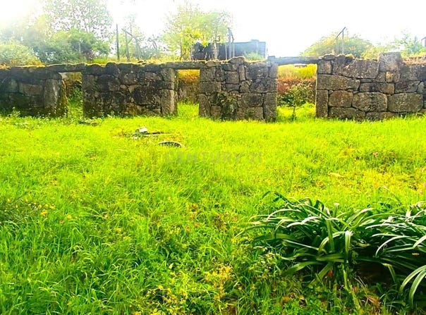 Santa Marinha do Zêzere, Porto District