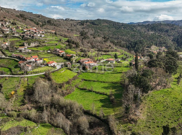 Ribeira de Pena, Vila Real District