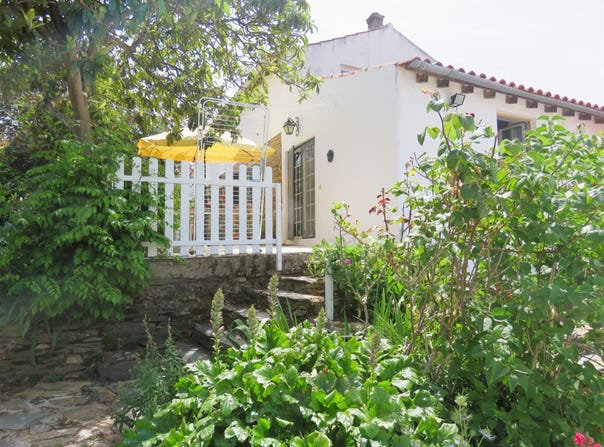 Castelo Branco, Castelo Branco 6000