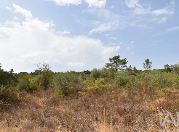 Santarém, Santarém District
