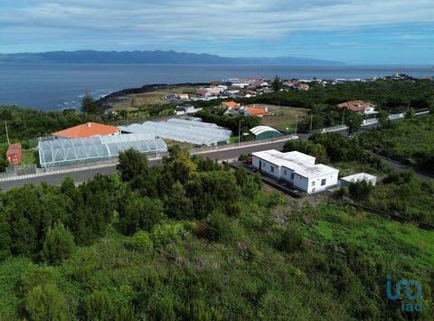 São Roque do Pico, Ilha do Pico 9940-236