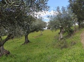 Penamacor, Castelo Branco 6090-229