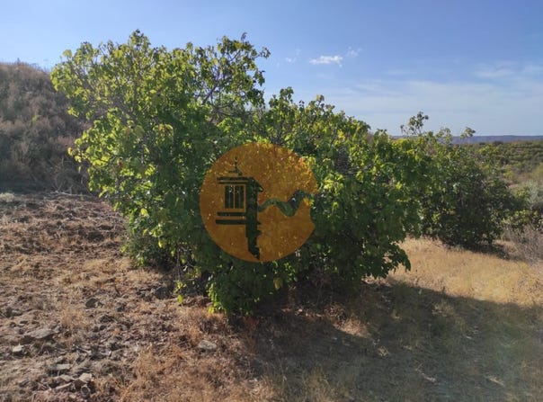 Odeleite, Algarve