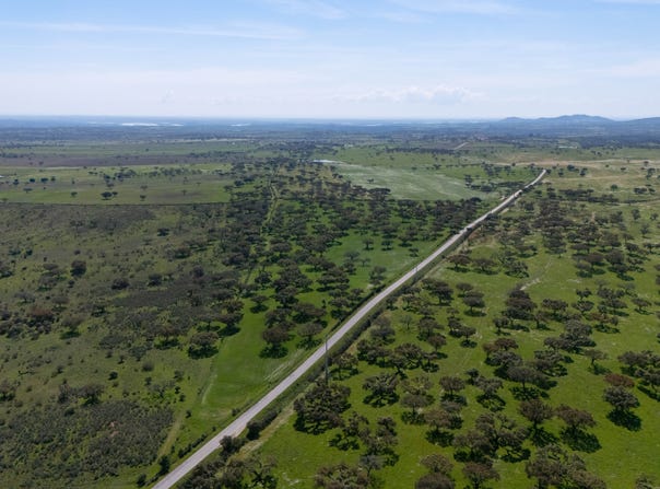 Évora, Évora District 7200-014