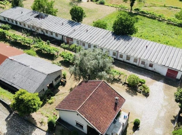 Fontoura, Viana Do Castelo 4930