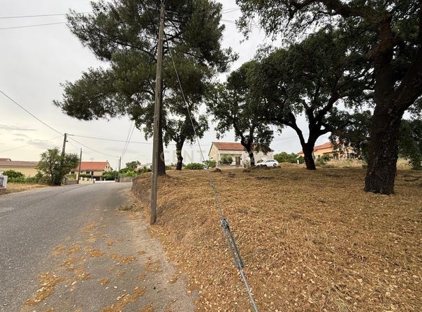 Tinalhas, Castelo Branco District