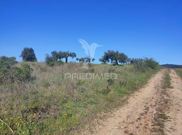 Monsanto, Alcanena, Santarém District