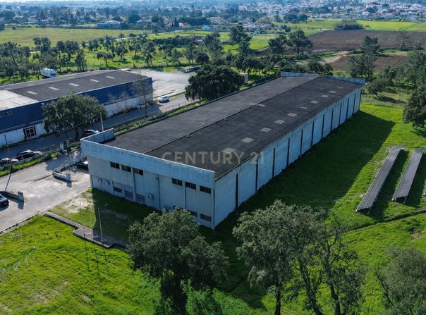 R. das Fazendas 2950, 2950 Q.ta do Anjo, Portugal, Quinta do Anjo, Setubal 2950-551