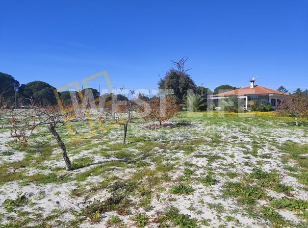Torrão, Setubal