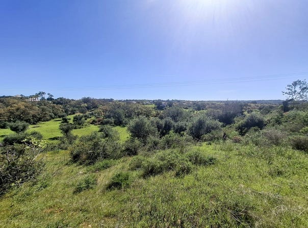 Guia, Algarve 8200