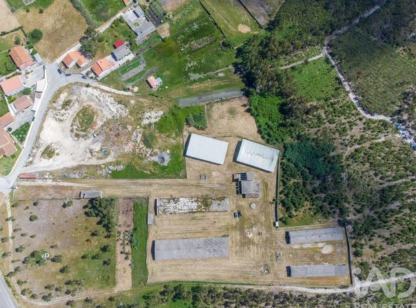 Vieira De Leiria, Leiria 2430