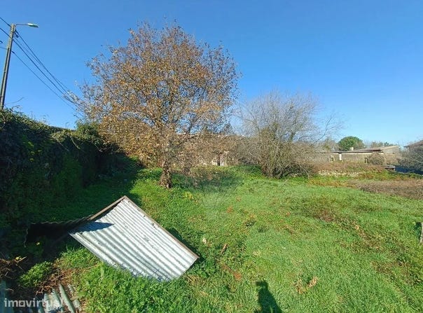 Vila de Cucujães, Aveiro District
