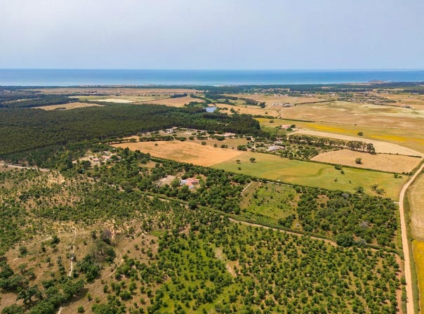 Vila Nova De Milfontes, Beja 7645