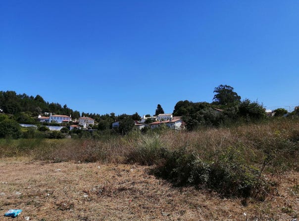 Oliveira de Azeméis, Aveiro District 3720