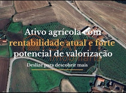 Chorente, Braga