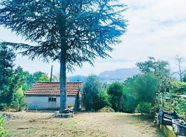 Cornes, Viana Do Castelo 4920