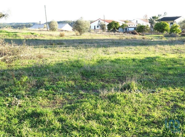 Asseiceira, Santarém 2305
