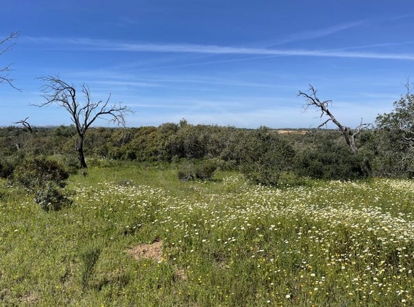 Paderne, Algarve