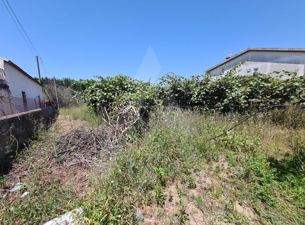 Bustos, Aveiro District