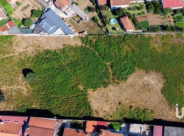 Sanguedo, Aveiro Municipality 4505