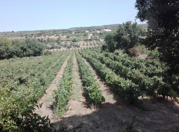 Vila de Frades, Beja District