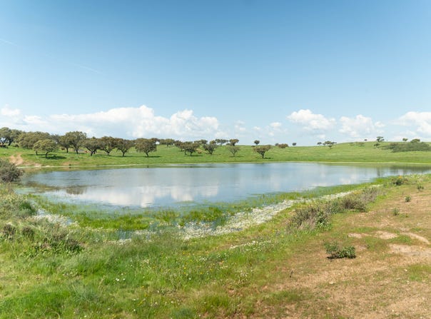 Évora, Évora District 7200-014