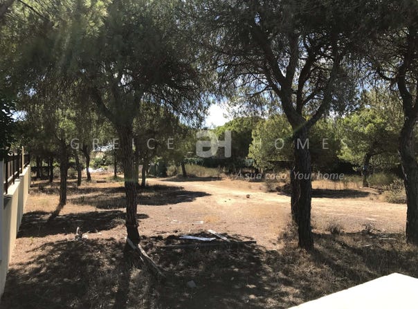 Loulé, Algarve